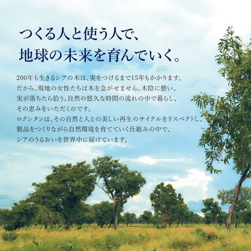 L'Occitane Ultra-Rich 10% Shea Butter Nourishing Lip Balm 0.39 fl oz