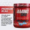 iSatori Amino-GRO BCAA Powder, Branched Chain Amino Acids with Glutamine, Electrolyte Powder & Bio-GRO Bio-Active Peptides for Muscle Growth & Post Workout Recovery, Blue Razz Snow Cone (30 Servings)