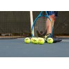Penn Championship- Regular Duty Felt Pressurized Tennis Balls - 1 Can, 3 Balls