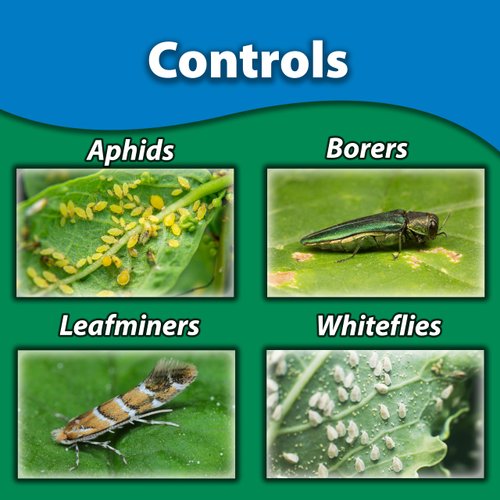 Monterey Once A Year Insect Control II Bundled with Measuring Spoon - Systemic Insecticide Absorbed Through Roots Into Plant - 1 Quart