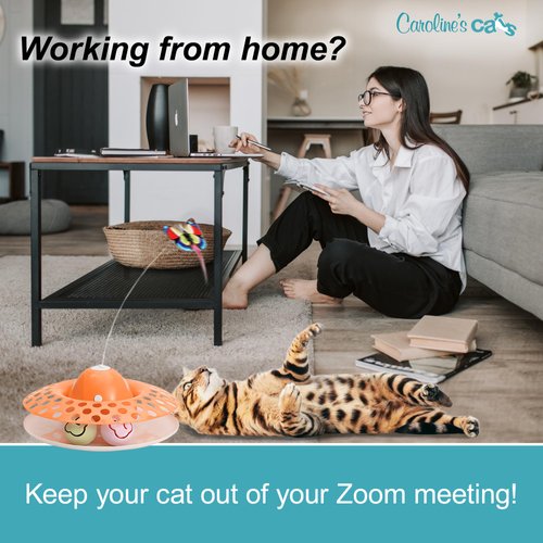 Caroline's Cats Automatic Butterfly Cat Toy – 2 in 1 Cat Toy Auto Shut Off & Catnip Ball Track; Recommended Cat Enrichment Toy