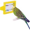 Penn-Plax Bird Life - Mirror with Beads Toy | Easy to Attach to Any Bird Cage | Keep Your Birds Entertained and Stimulated (BA507)