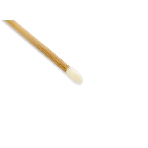 Artist's Choice Lip Gloss Applicators - Sponge Tip for Effortless Blending, Soft Pad with Angled Edges for Precise Control, Single-Use Option for Professionals