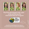 Naturtint Permanent Hair Color 6N Dark Blonde (Pack of 1), Ammonia Free, Vegan, Cruelty Free, up to 100% Gray Coverage, Long Lasting Results