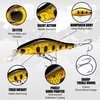 LUCKY CRAFT Fishing Lure Pointer 45S - Trout Lure, Jerkbait (871 BGR Amago)