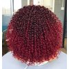 ANNIVIA Short Lace Front Wigs for Black Women Burgundy HD Lace Front Curly Wig Pre Plucked with Babyhair, Dark Roots Burgundy Red Synthetic Bob Kinky Afro Short Curly Frontal Hair Wig 16inch（Burgundy）