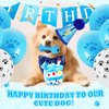 RoundFunny 23 Pcs Dog Birthday Party Supplies Dog Birthday Toy Set Dog Birthday Cake Teething Toys Squeak Toy Interactive Dog Toys Dog Birthday Decorations with Box for Puppy Small Medium Dogs(Blue)