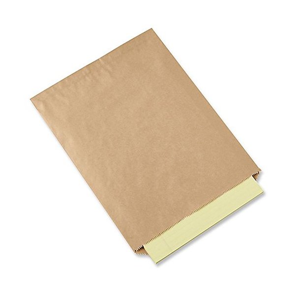 A1BakerySupplies® Kraft Paper Bags Flat Merchandise Bags 100 Pack 8.5 in X 11 in -Plain Bags