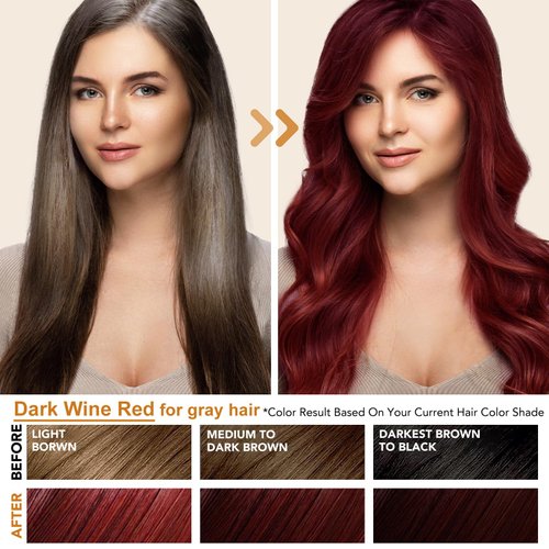 Dark Wine Red Hair Dye Shampoo for Gray Hair Coverage, Natural & Long-lasting Hair Color Shampoo Para Canas Mujer, 3 in 1 Herbal Shampoo Hair Dye Christmas Gifts for Men Women 500ml