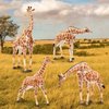 EYSCOTA Giraffe Toy Figurines Set, 4 PCS Plastic Giraffe Figures and Calf, Realistic Wild Animals Giraffe Cake Topper Easter Birthday Gifts Jungle Animals Decor for Kids