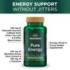 Swanson Pure Energy Metabolism Concentration Mental Focus Mood Support Stress Management Adaptogenic Herbs Herbal Supplement 60 Veggie Capsules (Veg Caps) Vegan