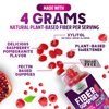 Sugar Free Fiber Gummies for Adults, Daily Prebiotic Fiber Supplement & Digestive Health Support - Supports Regularity & Digestive Health, Nature's Plant Based, Non-GMO, Berry Flavor - 60 Gummies