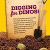 Real Fossil Dig Kit for Kids - Mega Science Kits for Boys & Girls Age 8-12 - Birthday Easter Gift Ideas for 8, 9, 10, 11, 12 Year Old Boy or Girl - Fossils Digging STEM Toys for Ages 8-13