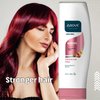 ABOVE Nutritive Conditioner, 11 oz - Hair Conditioner with Biotin - Strengthen and Revive Hair - Keratin Hair Booster - Conditioner for Colored Hair