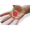 Novel Merk Red Apple Teacher Appreciation Small Refrigerator Magnets Set for Party Favors & Carnival Prizes Miniature Design (12 Pieces)
