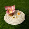 Miniature Food Dollhouse Accessories Garden Decor 1:12 Scale Bread Honey Picnic Basket Cloth Flowers 9PCS Garden Decoration Mini Room Display Props Model (Red Picnic Cloth)