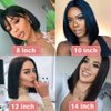 13X4 Short Bob Lace front Wigs Human Hair Straight Natural Hairline 10 Inch Brazilian Remy air Wigs Pre Plucked with Baby Hair for Black Women