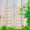 20 Pcs Mini Garden Ladder 2.36''x 0.78'' Miniature Ladder Model Mini Ladder Tiny Ladder Model Wooden Mini Doll House Ladder Accessories for Landscape Dollhouse Decor