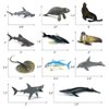 RCOMG 32pcs Mini Ocean Animal Figures, Realistic Sea Creatures Toys Set with Sharks Whales Arctic Animals Figurines for Kids Gift