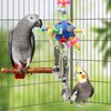Bird Toys for Playground, Parakeet Toys with Plastic Ball Wooden Decor and Metal Spoons for Chewing, Bird Cage Accessories for African Grey Budgies Cockatiels Lovebirds Quakers Small to Medium Birds