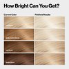 Revlon Color Effects Permanent Highlighting Kit, Ammonia & Paraben Free Hair Dye, 60 Platinum, 8 Oz (Pack of 1)