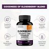Elderberry Vitamin C and Zinc 120 Capsules | with Quercetin and Vitamin D3 | Immune Support for Adults | Herbal Supplement for Men and Women | 2 Months Supply | Natural Immunity Booster