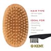 Kent MC4 Finest Men's Hair Brush And Facial Brush For Beard Care - Exfoliating Natural Boar Bristle Brush For Mens Grooming, Scalp Brush, Royalty Brush, And Beard Straightener For Men's Skin Care