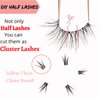14 Pairs Half Lashes Natural Look with Clear Band Cat-Eye Lashes Wispy Fluffy Accent False Eyelashes, 2 Styles Mixed 3/4 Corner Lashes Reusable Soft DIY Cluster Lashes Pack by Heracks(38+62)