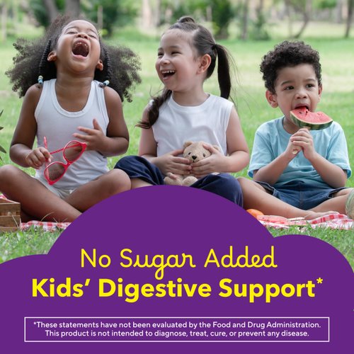 L’il Critters Fiber Daily Gummy Supplement for Kids, for Digestive Support, Berry and Lemon Flavors, 90 Gummies