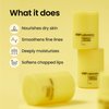 CNP Honey Lip Butter Stocking Stuffer - Propolis Lipcerin™ Original, Hydrating Overnight Manuka Lip Balm & Mask, 12hrs Long-lasting Moisture, Gifts for Women, Korean Skin Care, 0.5 fl.oz.