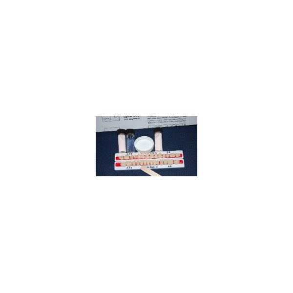 PERK Denture Repair Kit with 28 Denture Teeth