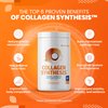 SaltWrap Collagen Synthesis - Collagen Peptides for Joints with Fortigel, Tendoforte, Best Collagen Powder for Tendons, Ligaments, and Cartilage Recovery and Repair, NSF Certified for Sport