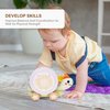 Childlike Behavior Wooden Pull Along Toy - Wood Tortoise and Rainbow Snail - Toddler Pull Behind Toys with Sorting Wheel - Wooden Toys - Stacking Toy Gift for Baby - 7.5 x 10 inch