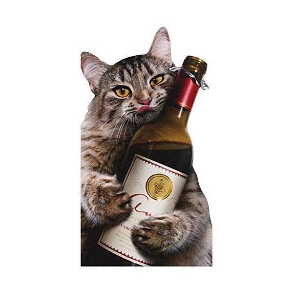 Cat Wine Bottle - Avanti Oversized Funny Birthday Card