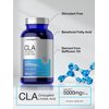 Horbaach CLA Supplement | 300 Softgel Pills | Maximum Potency | Conjugated Lineolic Acid from Safflower Oil | Non-GMO, Gluten Free
