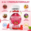 GrnLife Berberine Gummies with Ceylon Cinnamon 1500mg High Potency Berberine HCL Supplement for Immune and Metabolism Support, Sugar Free, Raspberry Flavor - 60 Count