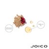 Joico Colorful Anti-Fade Conditioner | For Color-Treated Hair | Preserve Hair Color & Vibrancy | Boost Shine & Reduce Breakage | Sulfate Free | With Camellia Oil & Pomegranate Extract | 8.5 Fl Oz