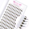 Premade Fans Eyelash Extensions 5D-C-0.10-10 Premade Volume Lash Extensions Pointed Base Fans 0.10 Premade Volume Fans C D Curl(5D-C-0.10,10 mm)