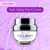 Clear Beauty Collagen Daily Face Moisturizer - Moisturizing, Reduce Wrinkles & Fine Lines, Hydrating Day Cream - Cruelty Free Korean Skin Care For All Skin Types - 1.69