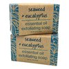 Greenwich Bay Trading Co, Seaweed and Eucalyptus Essential Oil Exfoliating Bath Bar Soap, Set of 2, 8.6 Ounces Each