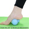 Hard Peanut Massage Ball, Double Lacrosse Massage Ball. Deep Tissue Massage Roller Mobility Ball for Physical Therapy Myofascial Release Muscle Relaxer Acupoint Massage (Blue)