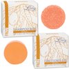 Luxiny Mango Shampoo and Conditioner Bar Set - Sulfate-Free, 1 Shampoo Bar (60g) & 1 Conditioner Bar (50g) for Normal/Dry Damaged Hair, Made in USA