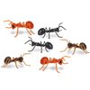 Mcphee Accoutrements Archie Funny Gift Box of Novelty Ants (6 Pack)