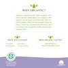 ORGANYC Hypoallergenic 100% Organic Cotton Panty Liners, flat, 24-count Boxes (Pack of 2)