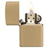 Zippo Lighter - Personalized Custom Message Engrave on Brass Collection Windproof Lighter (Brushed Brass 204B)