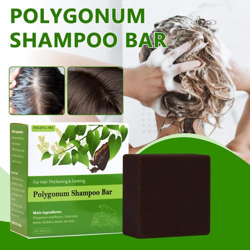 2 Pcs Natural Polygonum Multiflorum Solid Shampoo and Conditioner Set, He Shou Wu Volumizing Gray Hair Reverse, Fo Ti Bar for Thinning & Darkening Hair, Fo-Ti Black Soap for Men & Women All Hair Type