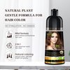 Herbishh Hair Color Shampoo for Gray Hair – Magic Hair Dye Shampoo – Colors Hair in Minutes–Long Lasting–500 Ml–3-In-1 Hair Color–Ammonia-Free | Herbishh (Chestnut Brown)