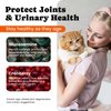 Cat Multivitamin Chews – Complete Daily Supplement with Omega-3, Lysine, Probiotics & Taurine for Immune, Joint, Skin & Digestive Health