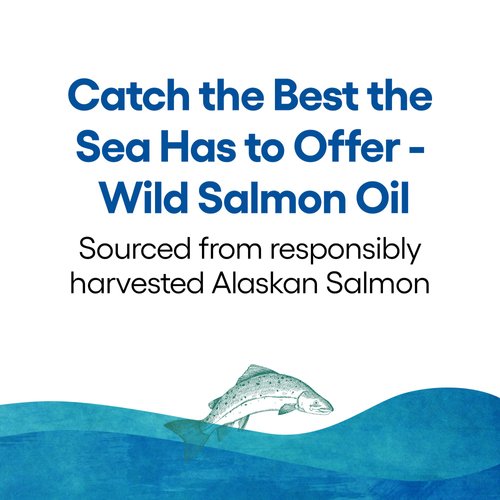 Natural Factors, Wild Alaskan Salmon Oil Provides Omega-3, EPA, DHA & Vitamin D, Supports Brain & Heart Health, 90 Softgels
