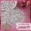 4000PCS 4mm Resin Rhinestones in Bulk (Silver), Bedazzling Flatback Crystals for Crafts DIY Nail Decoration, Gems Charms for Tumbler Shoes Clothing Fabric with Pickup Pen and Tweezers